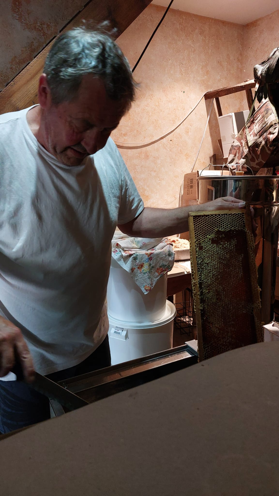 Rucher proche d’une châtaigneraie