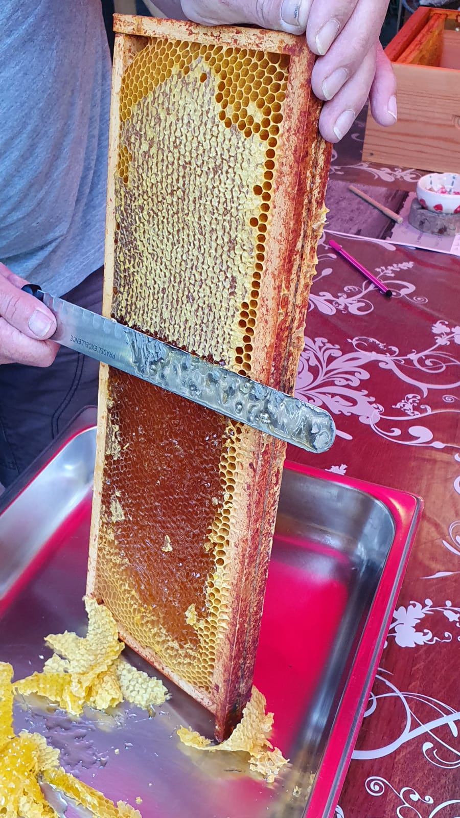 Rucher proche d’une châtaigneraie