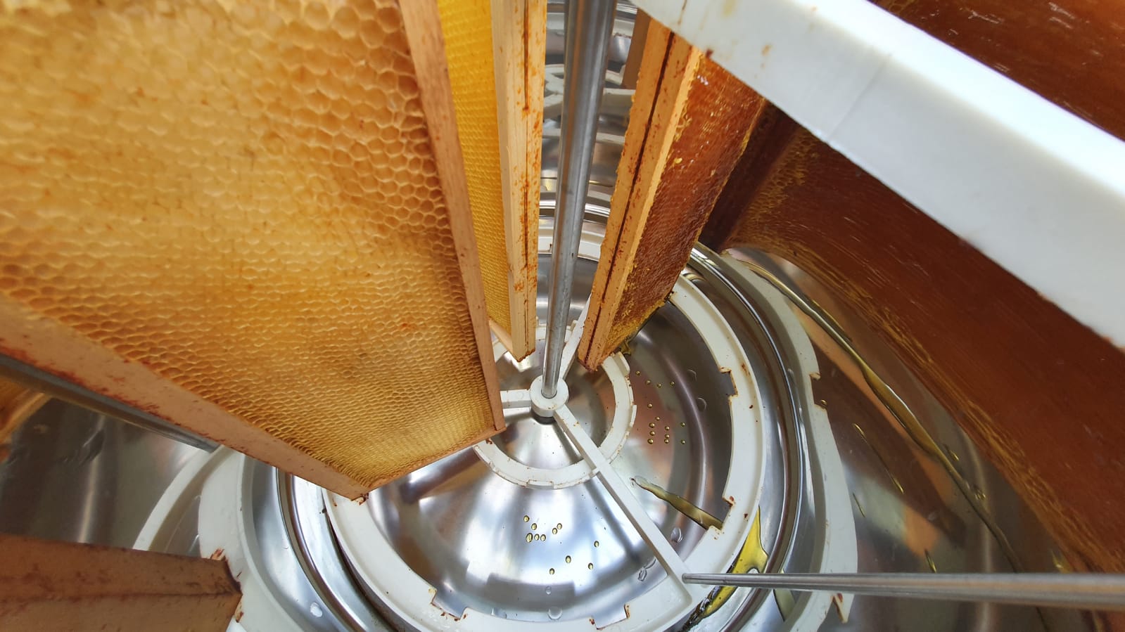 Rucher proche d’une châtaigneraie