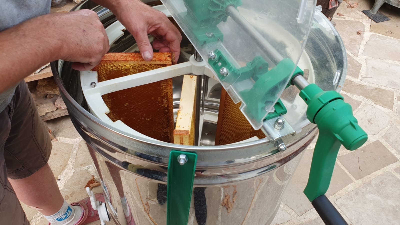 Rucher proche d’une châtaigneraie